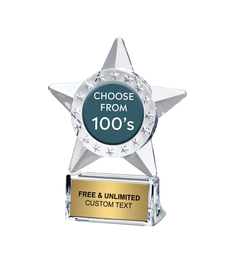 Acrylite Star-Shaped Trophy With Insert 1
