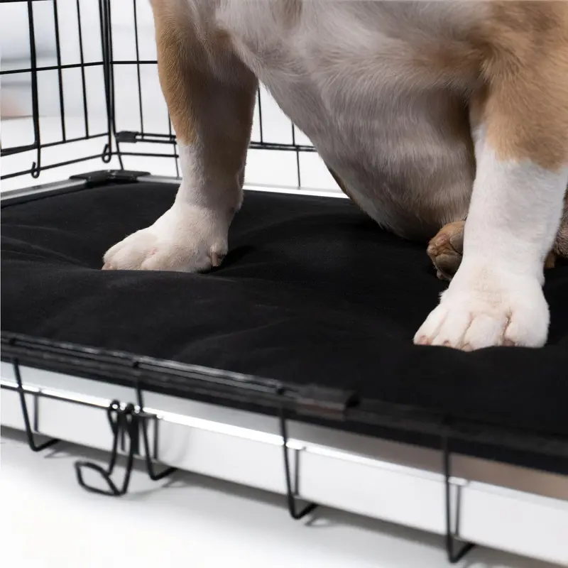 Armored Replacement Pad – Chew-Resistant Dog Bed Insert 1