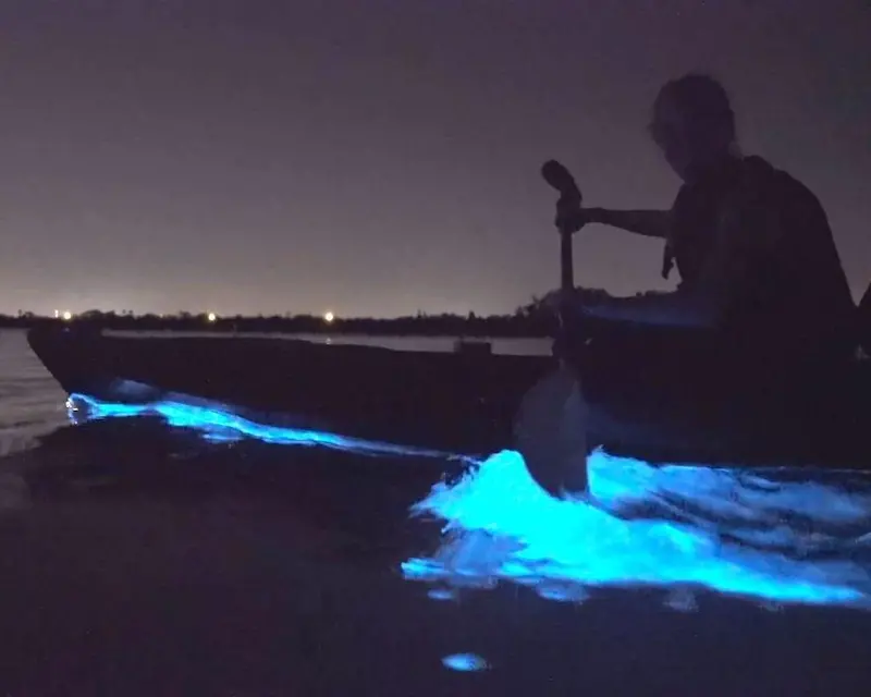 Bioluminescent Bay Kayak Tour Experience 1