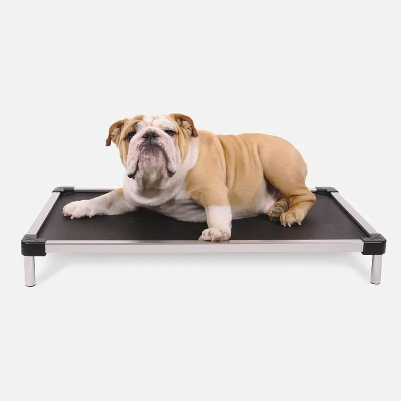 Breathable Mesh Elevated Dog Bed – Armored Chew-Proof Design 1