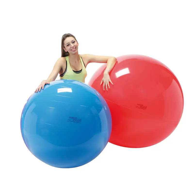 Gymnic Professional Physiotherapy Exercise Balls 1