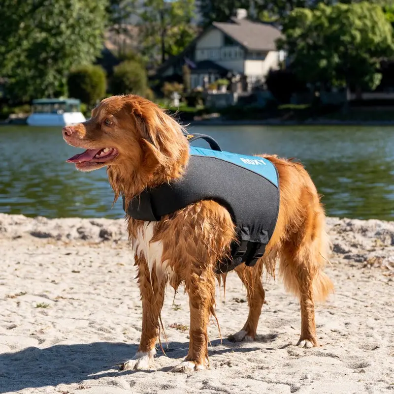 K9 Adventure Dog Life Jacket – Adjustable Buoyancy Vest 1