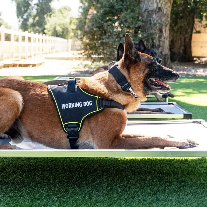 K9 Pro Adjustable Dog Harness – Reflective, Escape-Proof Fit For Active Dogs 1