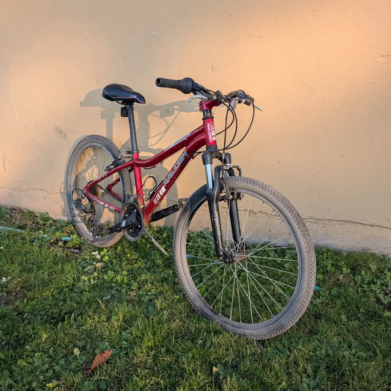 Raleigh Scout Xc 24-Inch Mountain Bike – 2014 Model (Used) 1