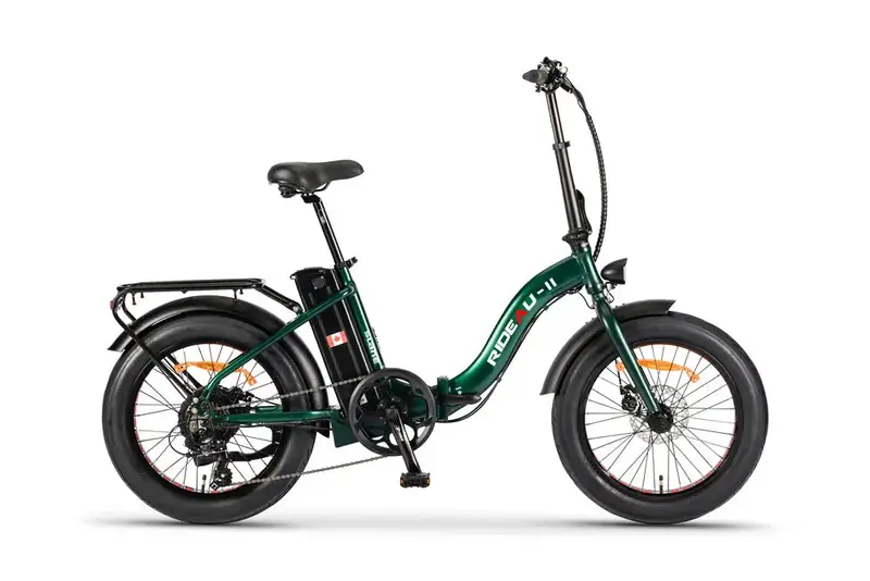 Rideau All-Terrain Fat-Tire Trike – Dual-Season Mobility Solution 1