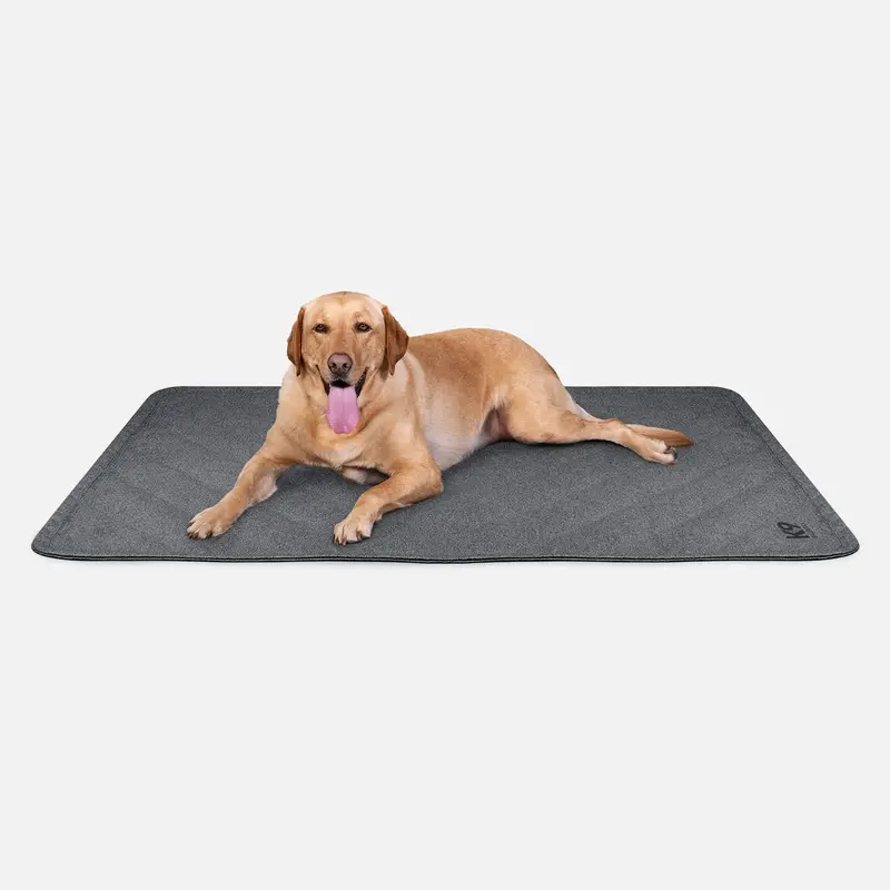 Tough Ripstop® Furniture-Saving Dog Blanket Protector 1