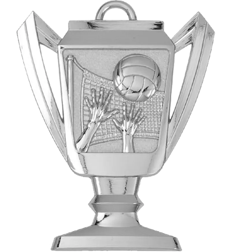 Volleyball Tournament Trophy Medal 1
