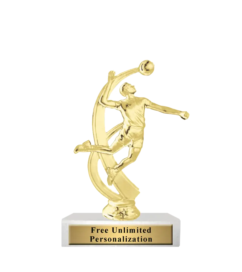 Volleyball Tournament Trophy – Standard Type 1